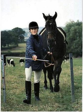 Produktbild AKO Mini electric gate 1,20 m, complete