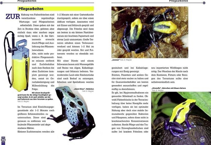 Actual product image Der Färberfrosch (German, Dirk Wagner, 2008)
