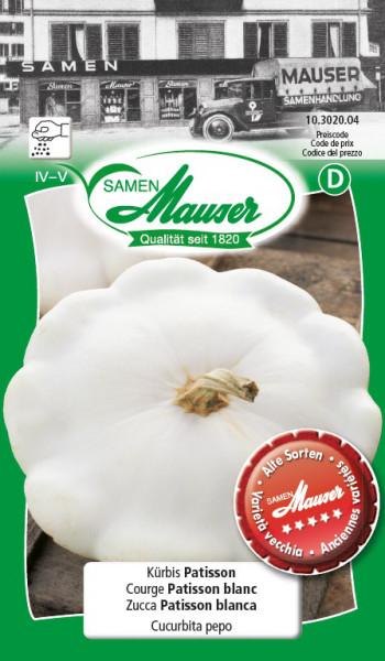 Actual product image Samen Mauser Kürbis Patisson (Vegetable seeds)
