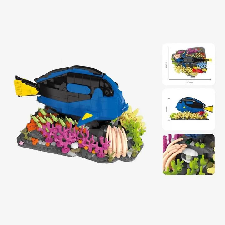 Image du produit BlueBrixx-Pro Paletten-Doktorfisch