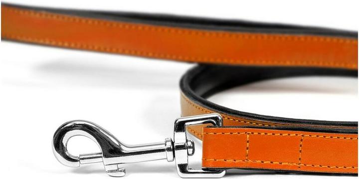 Produktbild Gloria Hundeleine 1.8 x 100 cm Orange (Hund, Allgemein)