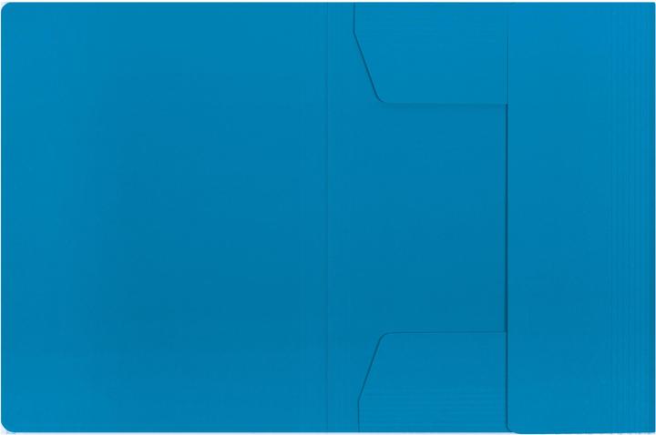 Produktbild Elba Sammelmappe Karton chic (A4, 1x)