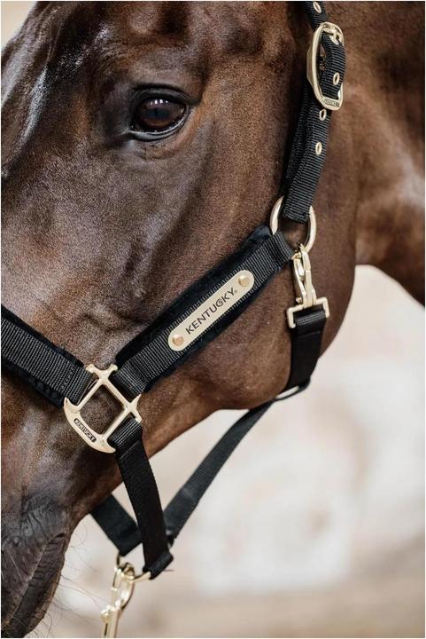 Produktbild Kentucky Horsewear Samthalfter