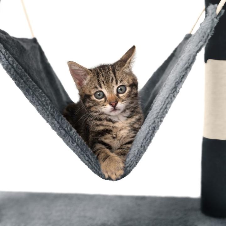 Actual product image tectake Stokeley (141 cm, Grey)