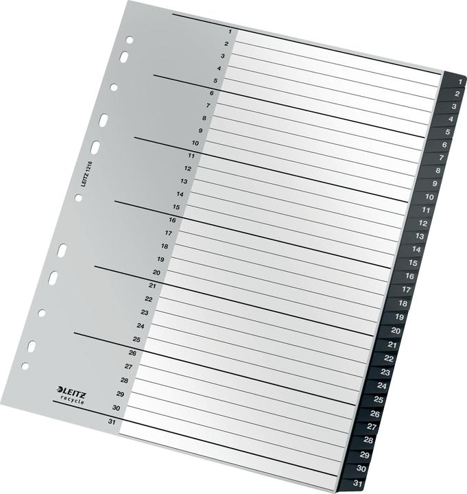 Produktbild Leitz Register Recycle 1-31