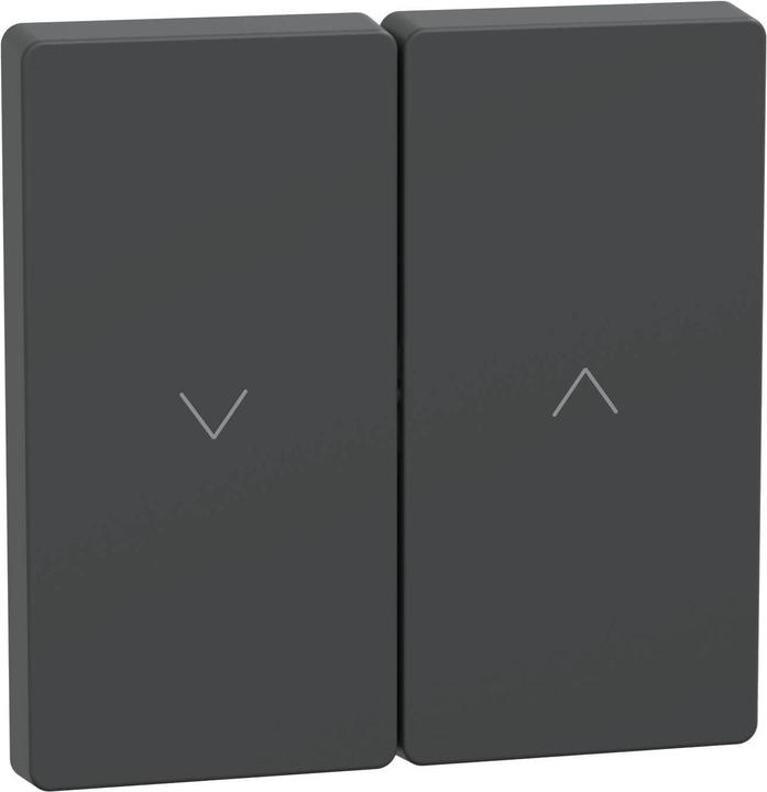 Merten Rocker anthracite System Design