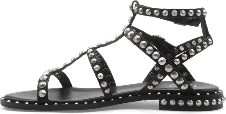 Produktbild Ash Precious (40)