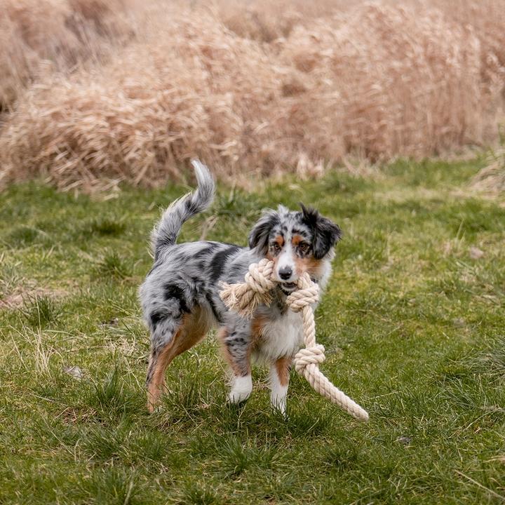 Actual product image Nobby Dog Toy Knot Rope, Nature (Dog chew toy)