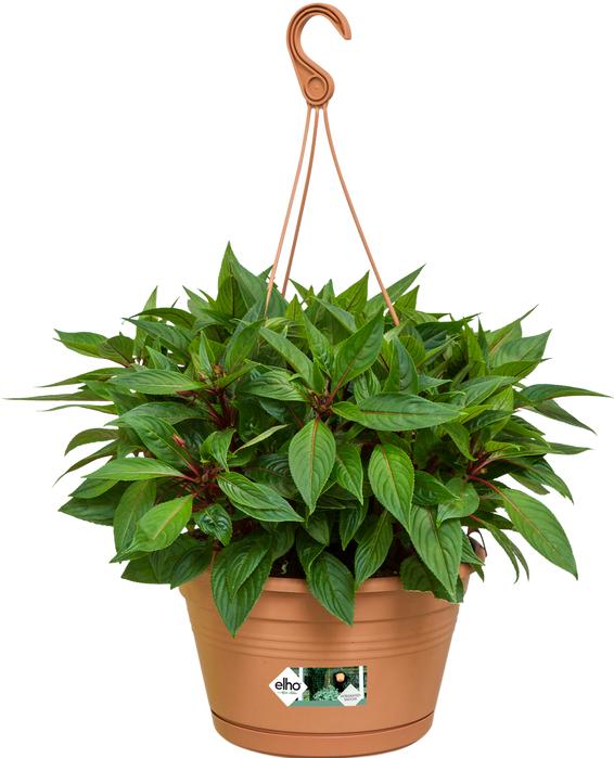 Image du produit Elho Green Basics suspensions (29 x 15.90 cm)