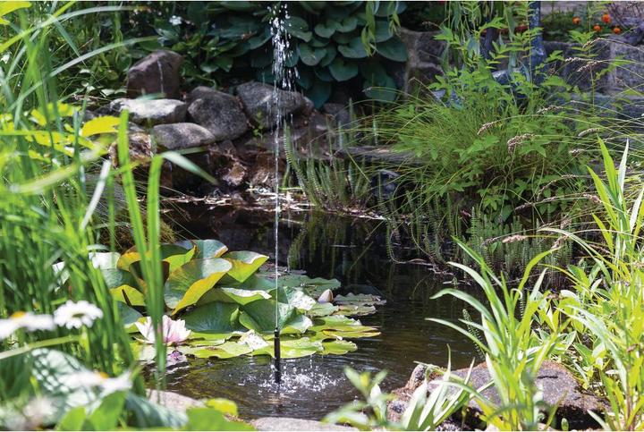 Produktbild Contec Verbier