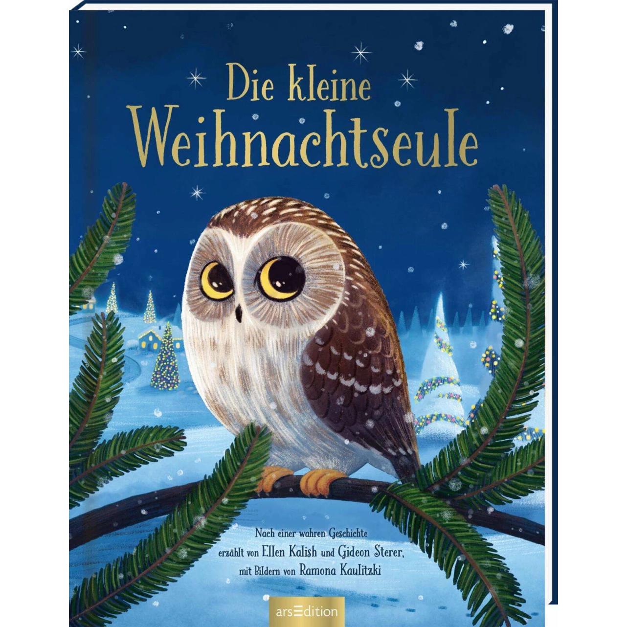 Die kleine Weihnachtseule, Kinderbücher von Gideon Sterer, Ellen Kalish