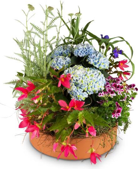 Fleurop Garden Magic (Floral arrangement)