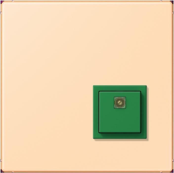 Actual product image JUNG Switch-off button