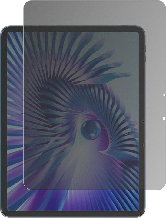 Actual product image Dipos Privacy Screen Protector 4-Way Privacy-Filter (Blackview Link 8)