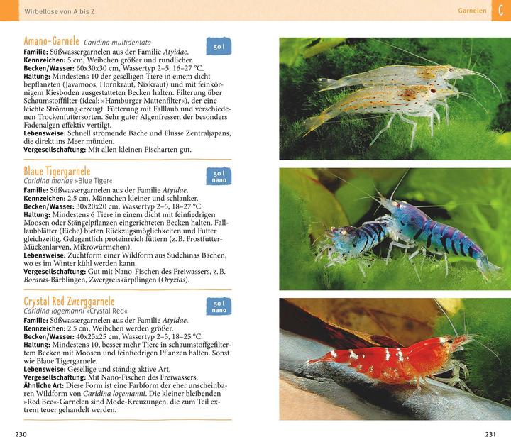 Actual product image Aquarienfische von A bis Z (German, Ulrich Schliewen, 2017)