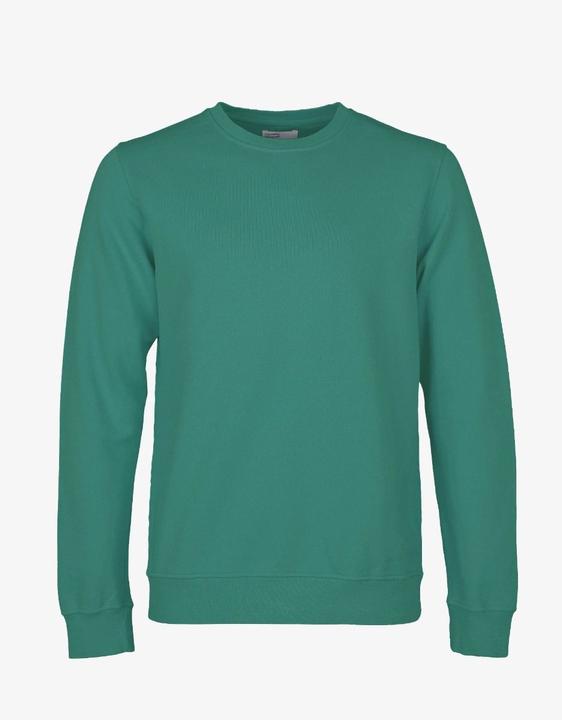 Actual product image Colorful Standard 4383726 (S)