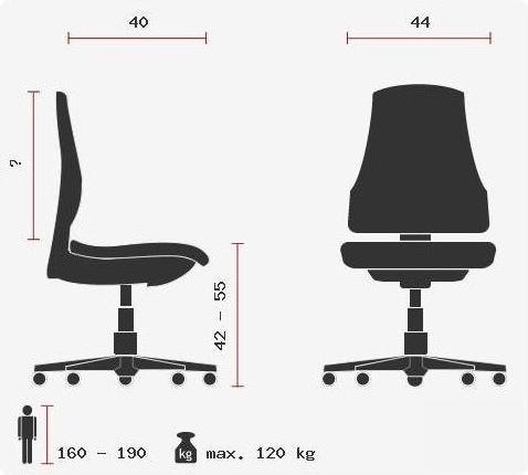 Actual product image Topstar Body Balance 20