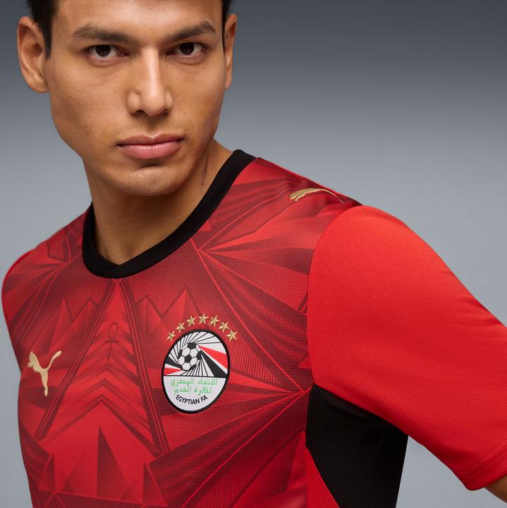 Image du produit Puma EFA Home Jersey Replica (L)