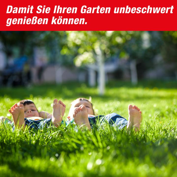 Image du produit Super Cat Maulwurffalle SuperCat 1er