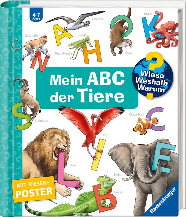 Ravensburger Wieso? Weshalb? Warum? Sonderband - Mein ABC der Tiere (Deutsch, Sanna Wandtke, Susanne Gernhäuser, 2025)
