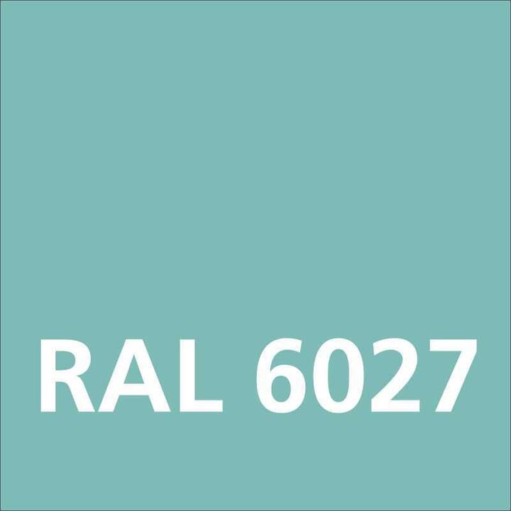 Actual product image Dupli-Color Glossy acrylic paint RAL 6027 light green (Light green, 0.40 l)