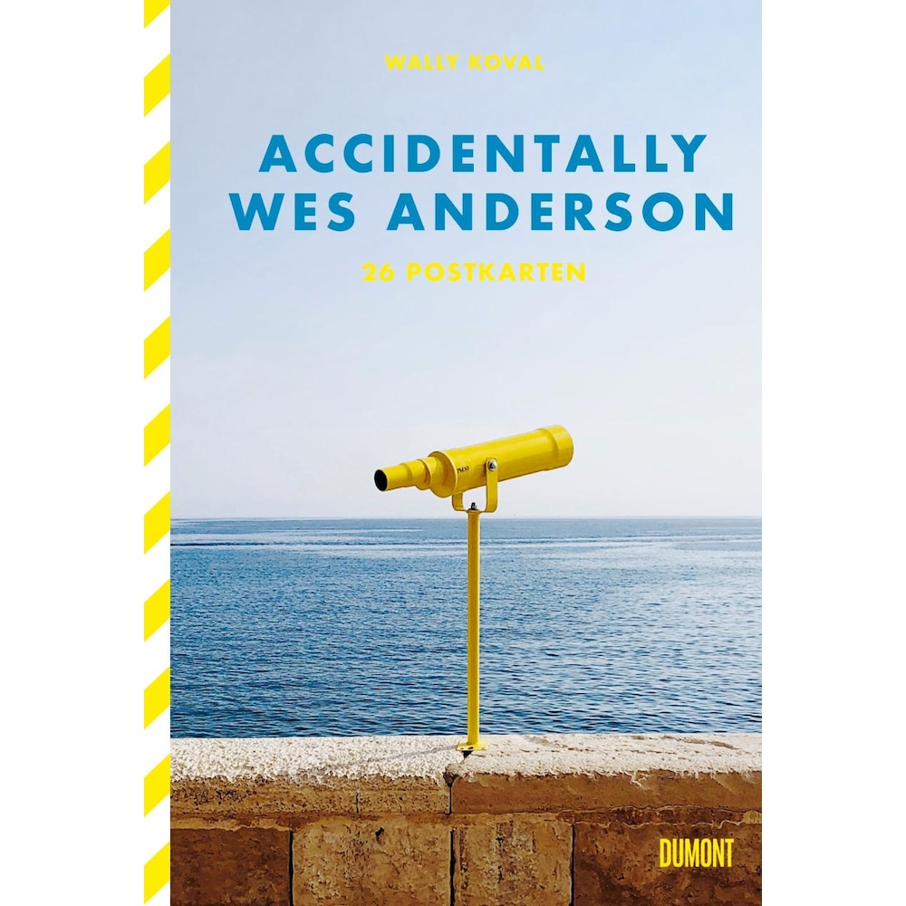 Accidentally Wes Anderson, Belletristik von Wally Koval