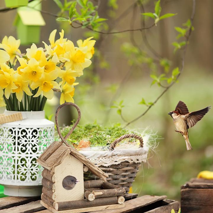 Image du produit Relaxdays Dekoratives