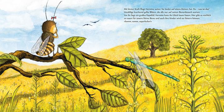 Produktbild Kleine Biene Hermine, wo bist du zu Haus? (Deutsch, Andrea Reitmeyer, 2018)