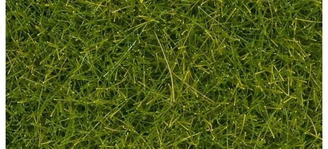 Image du produit Noch Herbe sauvage XL 07112 Vert clair