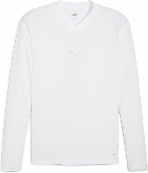 Actual product image Puma teamGOAL Baselayer Tee LS (L)