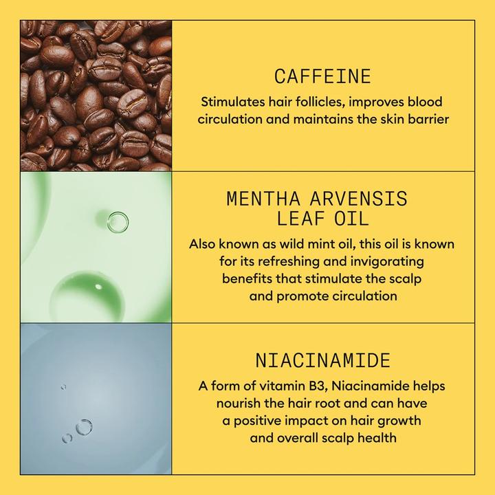 Actual product image Nioxin System 1 Scalp + Hair Thickening Serum 100ml (100 ml)