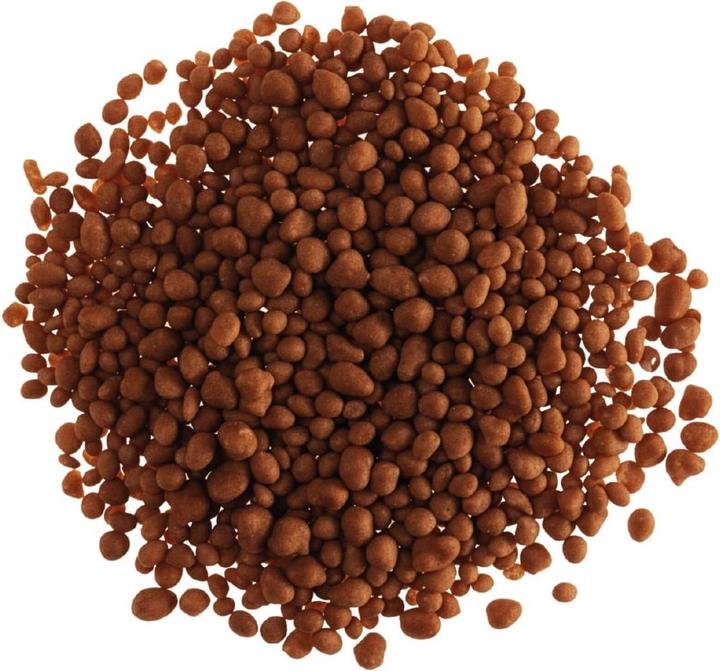 Dekora Dekocrunchies - Saveur café - espresso yoursef