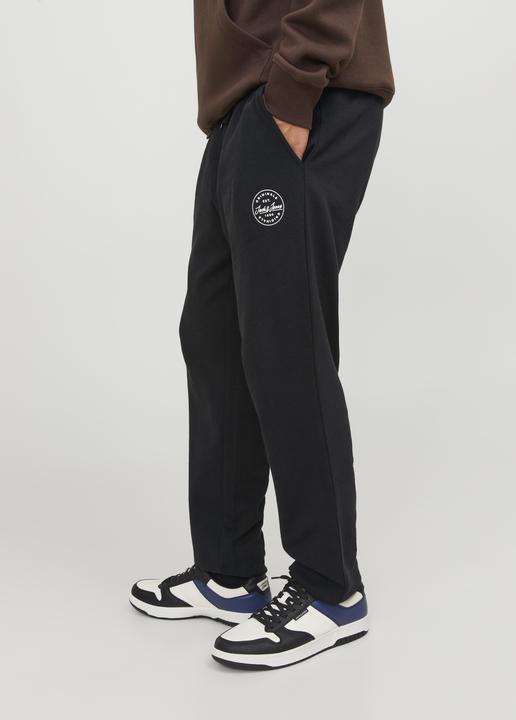 Image du produit Jack & Jones Gordon Sweathose (L)