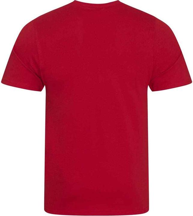 Produktbild Awdis Cascade TShirt (XL)