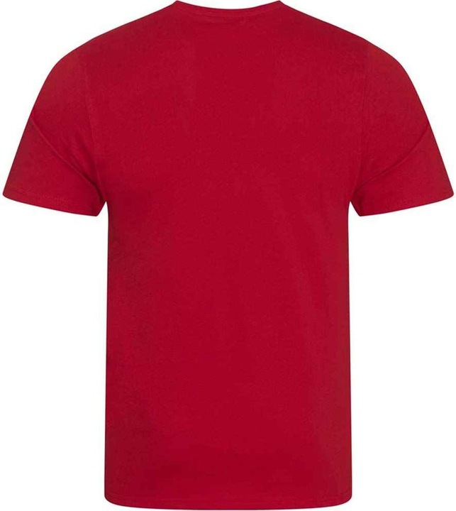 Image du produit Awdis - T-shirt CASCADE - Homme (L)