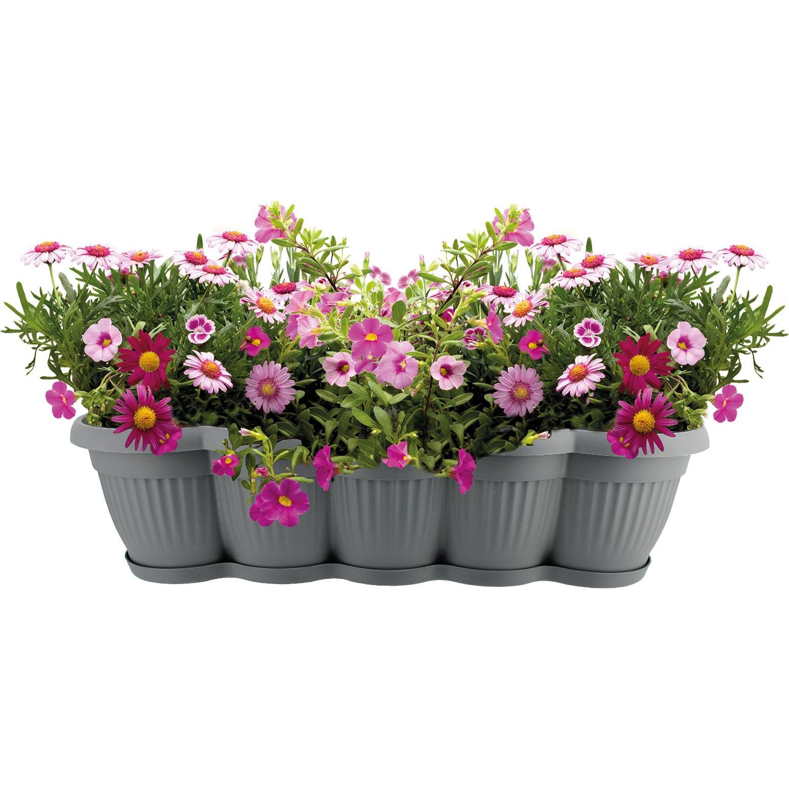 Thumbnail - HTI-Living, Blumentopf, Blumenkasten mit Untersetzer 60 cm 2er Set Anthrazit (17 cm)