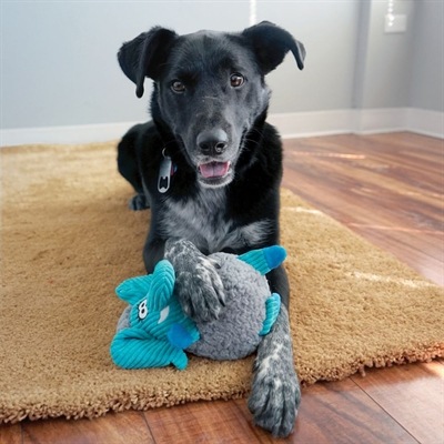 Actual product image KONG Sherps (Plush toy dog)