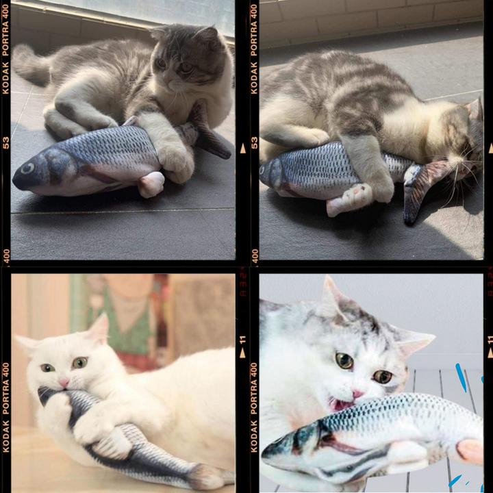 Actual product image Best direct Magic Fish (Plush toy cat)