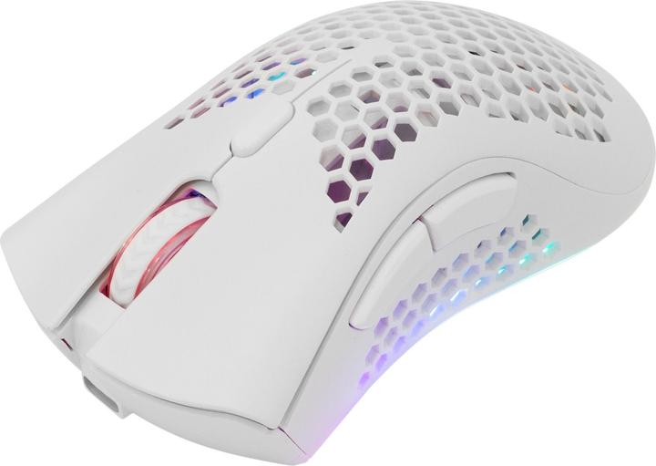 Actual product image White Shark WGM-5012 Lionel White (Wireless)