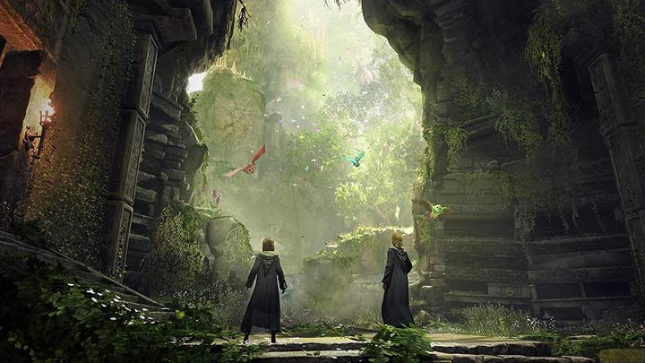 Actual product image WB Hogwarts Legacy (PS4, DE, FR)