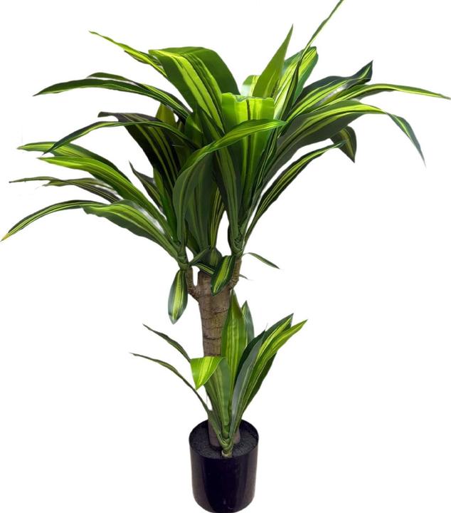 Naturgetreue Kunstpalme Yucca Dracaena 80cm, hochwertige Kunstpflanze (80 cm)