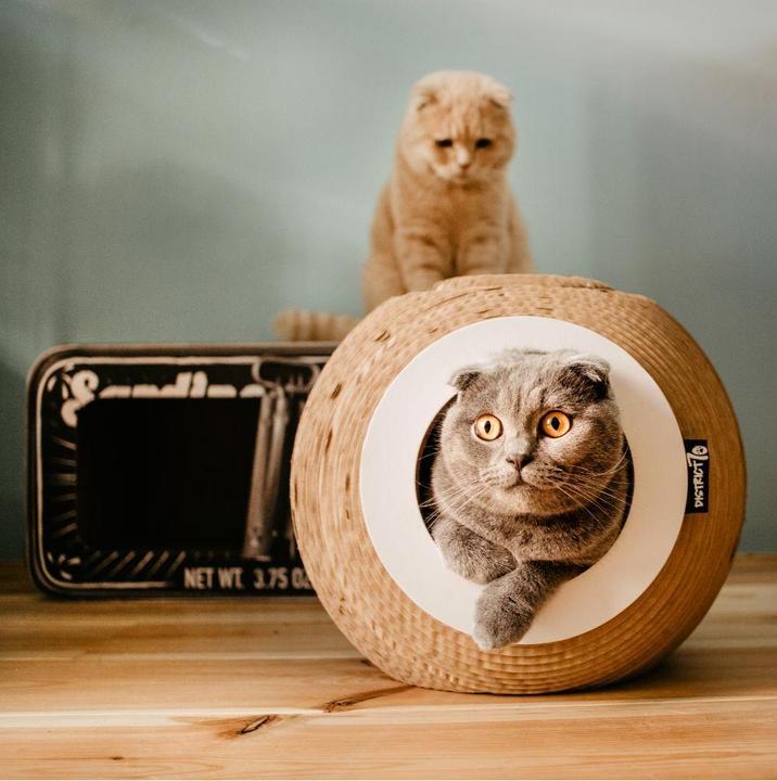 Produktbild District 70 Orb (32 cm, Braun, Weiss)