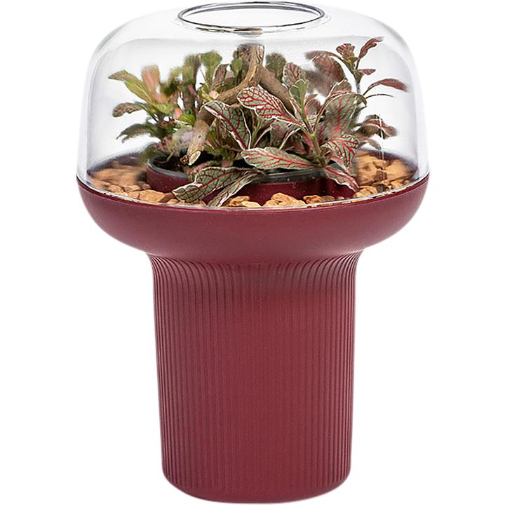 Actual product image Plastia Pot pour plantes Humidarium 26.5x20 cm (20 cm)