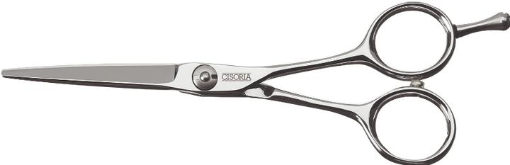 Image du produit Sibel Cisoria Class S60 Straight Scissors 6