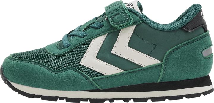 à feuilles persistantes