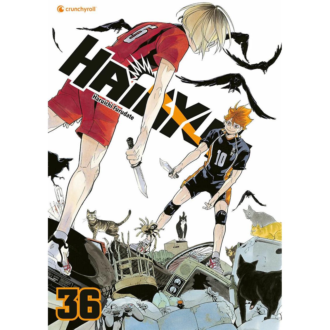 Haikyu!! – Band 36, Belletristik von Haruichi Furudate, Etsuko und Florian Weitschies Tabuchi