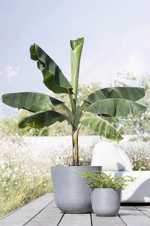 Actual product image Ecopots Oslo (35.35 cm)