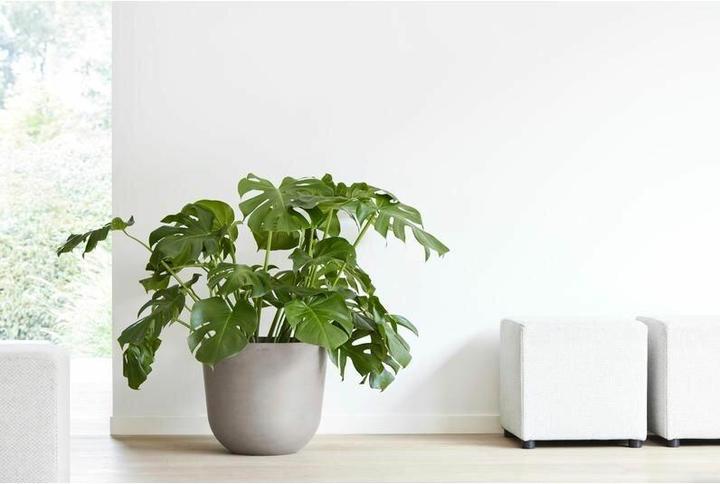 Image du produit Ecopots Oslo (45 x 39.20 cm)