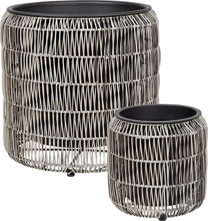 Produktbild Beliani Brodiea