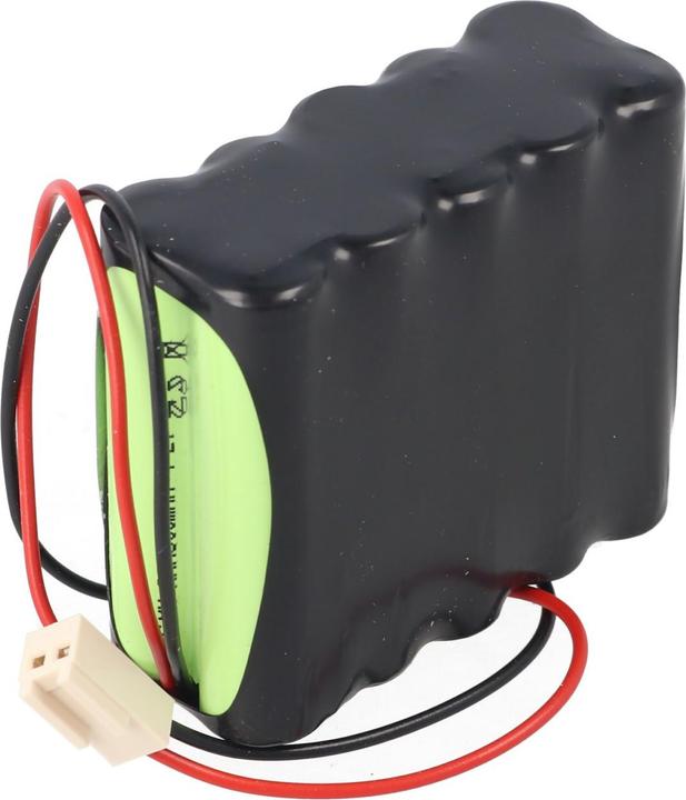 Actual product image AccuCell F2x5 battery pack with cable and plug (1 pcs., 800 mAh, Battery + charger)